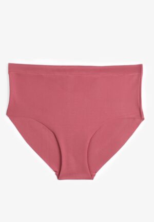 Invisibliss High Waist Hipster Panty
